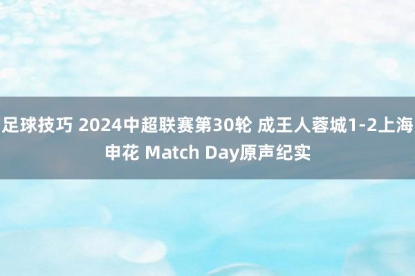 足球技巧 2024中超联赛第30轮 成王人蓉城1-2上海申花 Match Day原声纪实