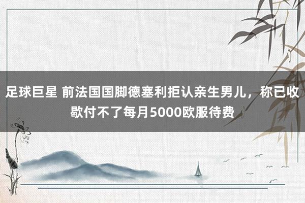 足球巨星 前法国国脚德塞利拒认亲生男儿，称已收歇付不了每月5000欧服待费