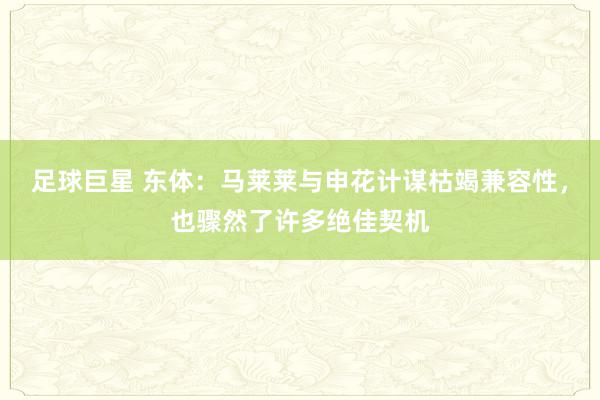 足球巨星 东体：马莱莱与申花计谋枯竭兼容性，也骤然了许多绝佳契机