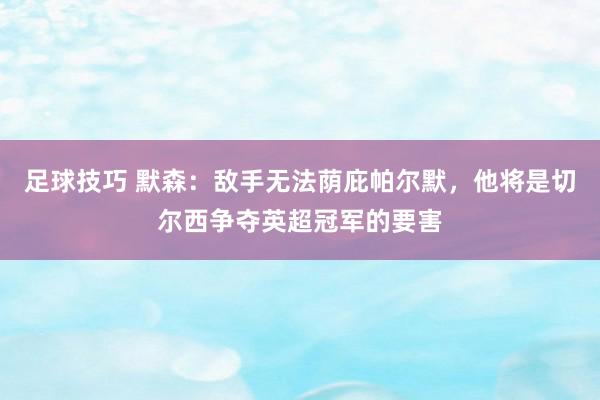 足球技巧 默森：敌手无法荫庇帕尔默，他将是切尔西争夺英超冠军的要害