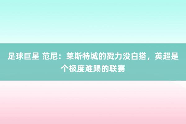 足球巨星 范尼：莱斯特城的戮力没白搭，英超是个极度难踢的联赛